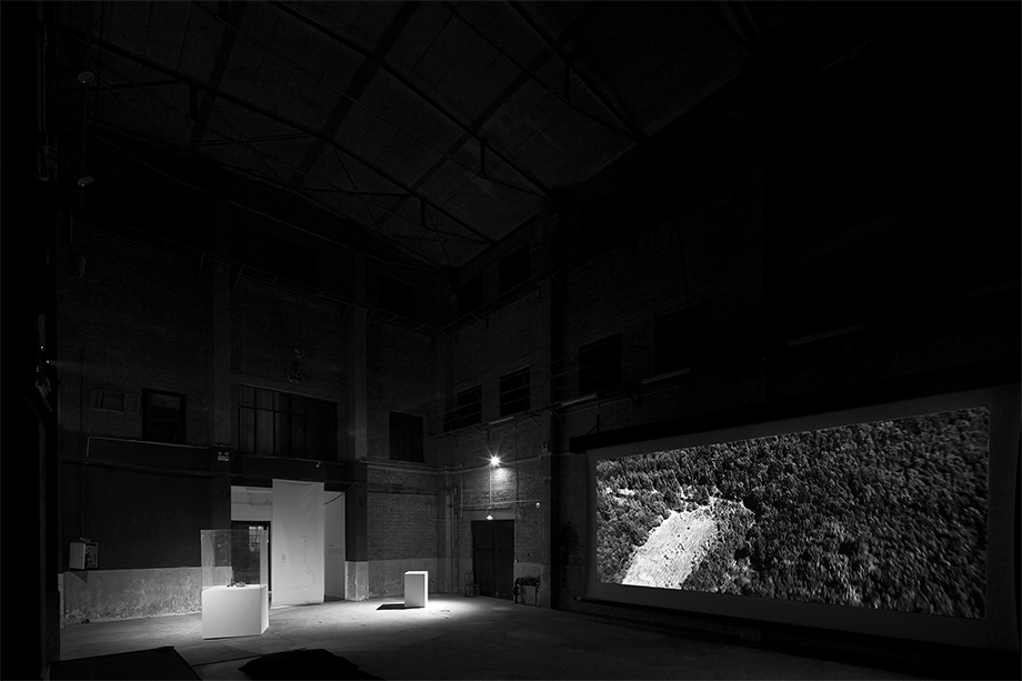 Burkhard von Harder - NARBE DEUTSCHLAND | SCAR GERMANY - World Premiere Part 2 - Being3 Gallery Beijing