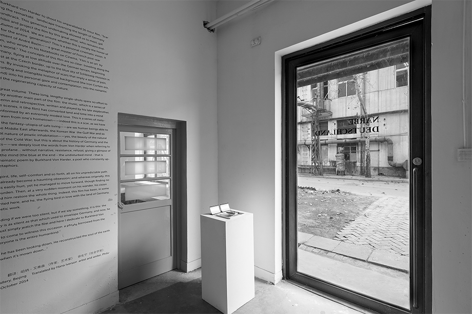 Burkhard von Harder - NARBE DEUTSCHLAND | SCAR GERMANY - World Premiere Part 2 - Being3 Gallery Beijing